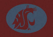 Washington State Cougars - Sports Team Rug