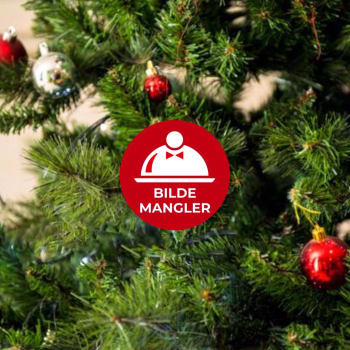 Juletallerken Pescetarianer