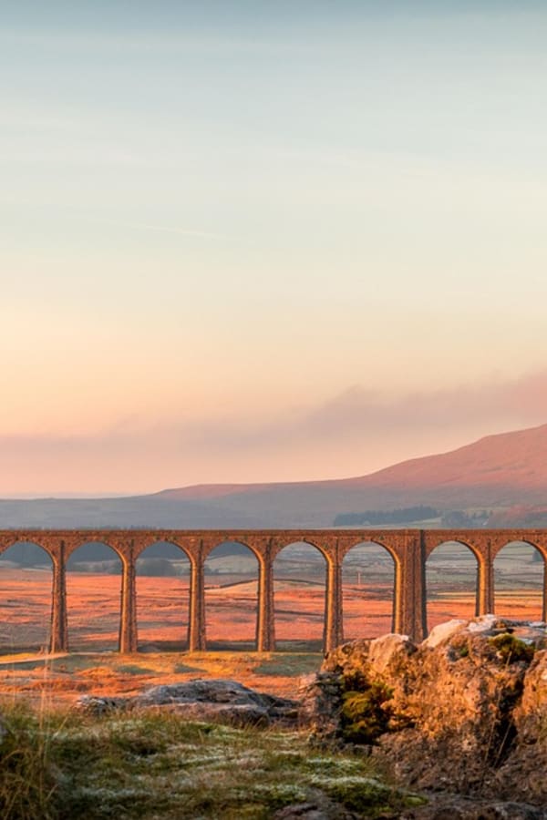 Background image of Matt, UX/UI Front End Developer