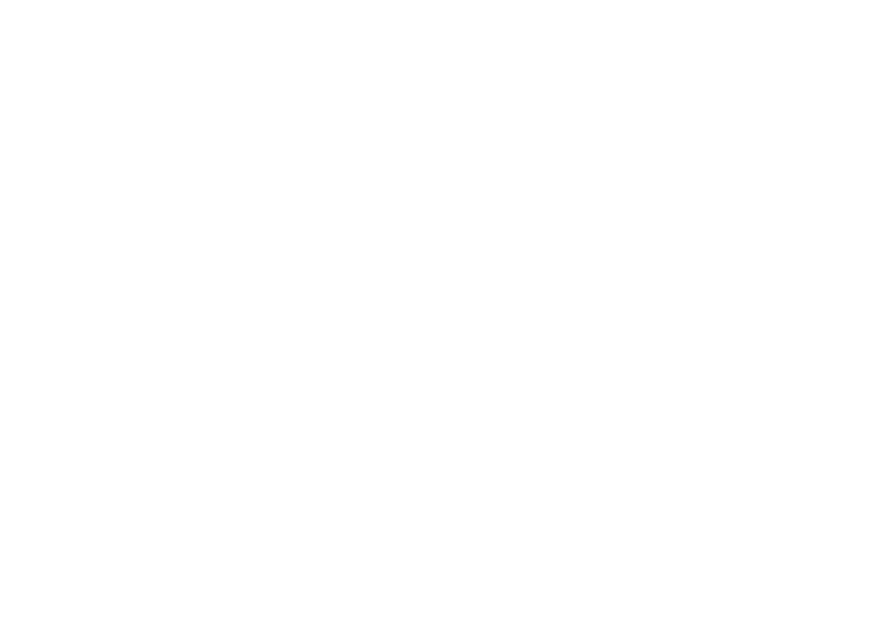 Studio Cielo Terra Logo