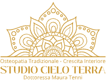 Studio Cielo Terra Logo