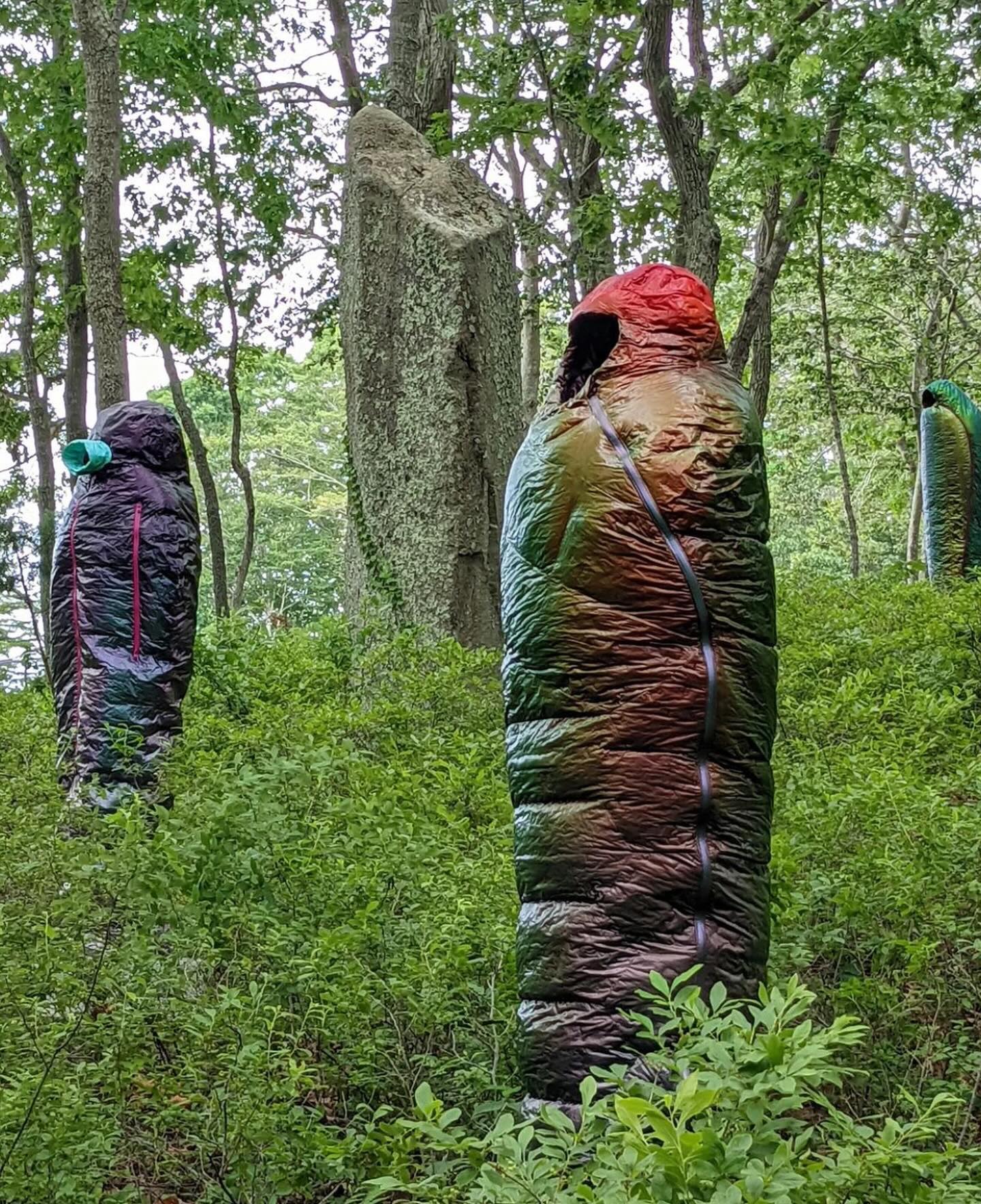 Two colorful sleeping bags stand upright in a lush green forest, with a large stone monolith in the background.