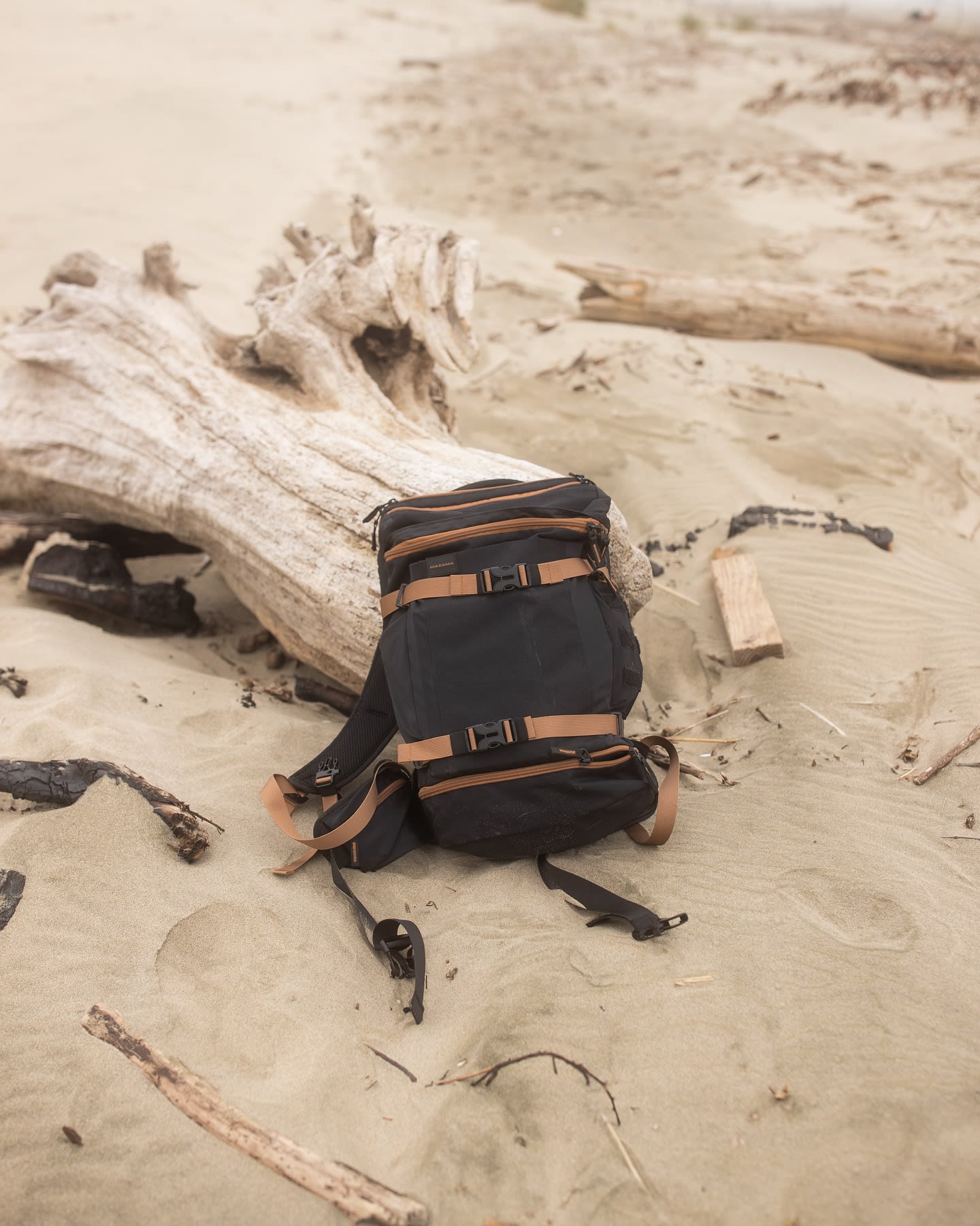 A black and brown backpack rests against a large piece of bleached driftwood on a sandy beach.