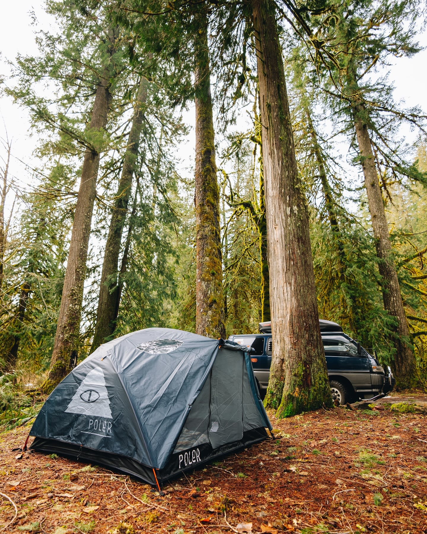 A dark tent is pitched on a forest floor with tall trees and a van in the background.