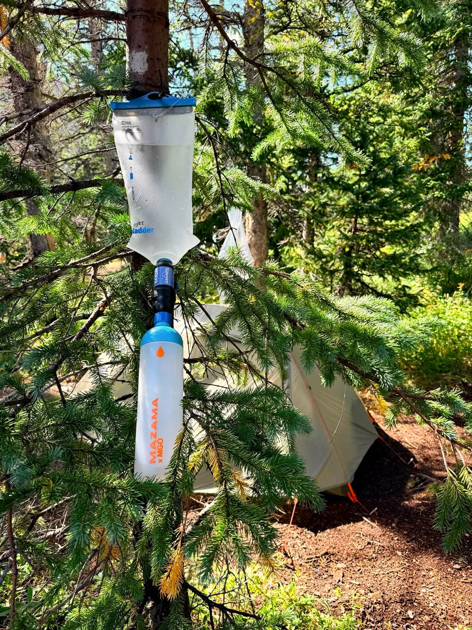 A water filtration system hangs from a tree branch in the foreground, with a white tent nestled among green pine trees in the background.