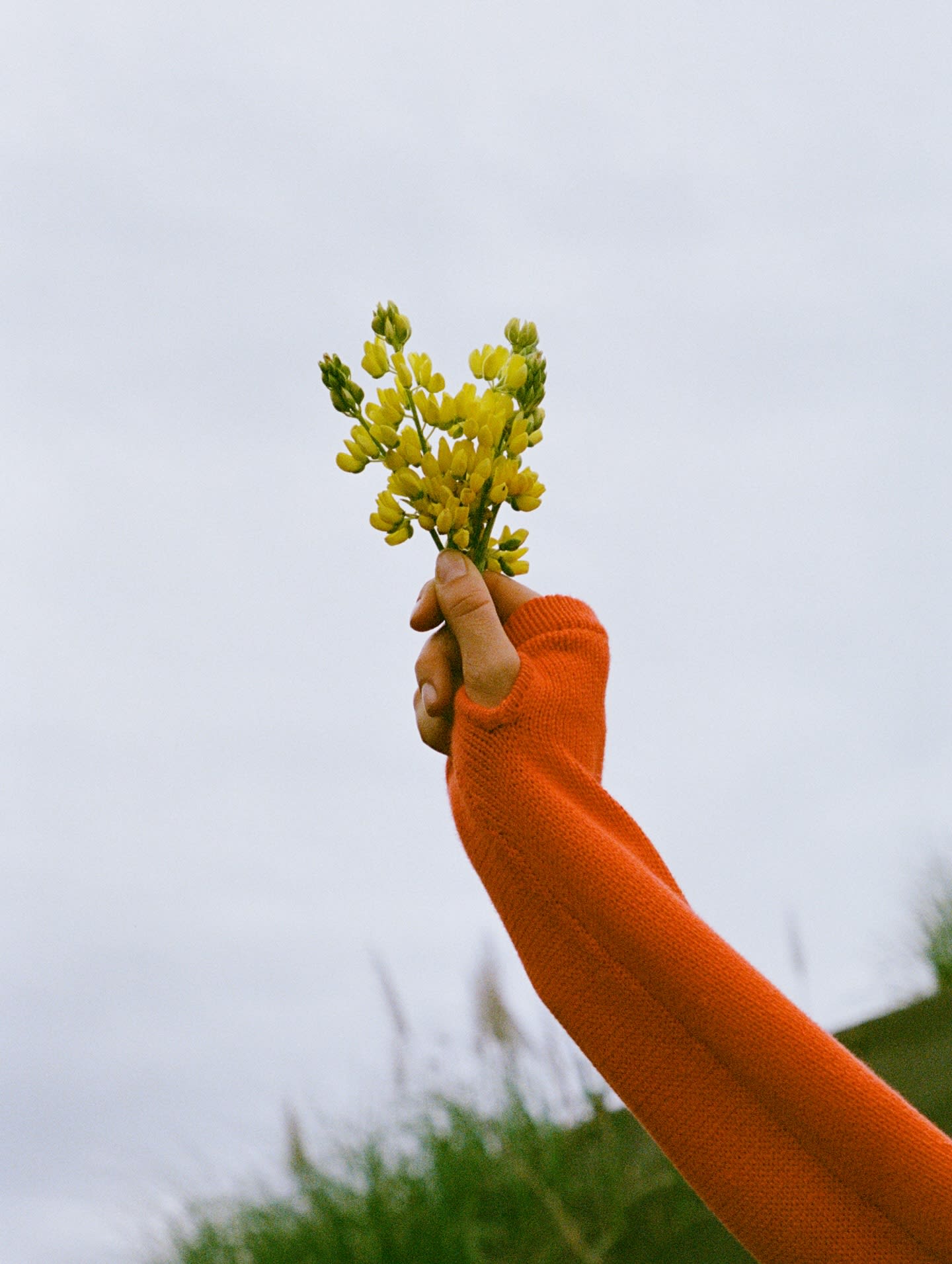 A hand in an orange sleeve holds a bunch of yellow flowers against a pale, overcast sky and a blurred green hillside.