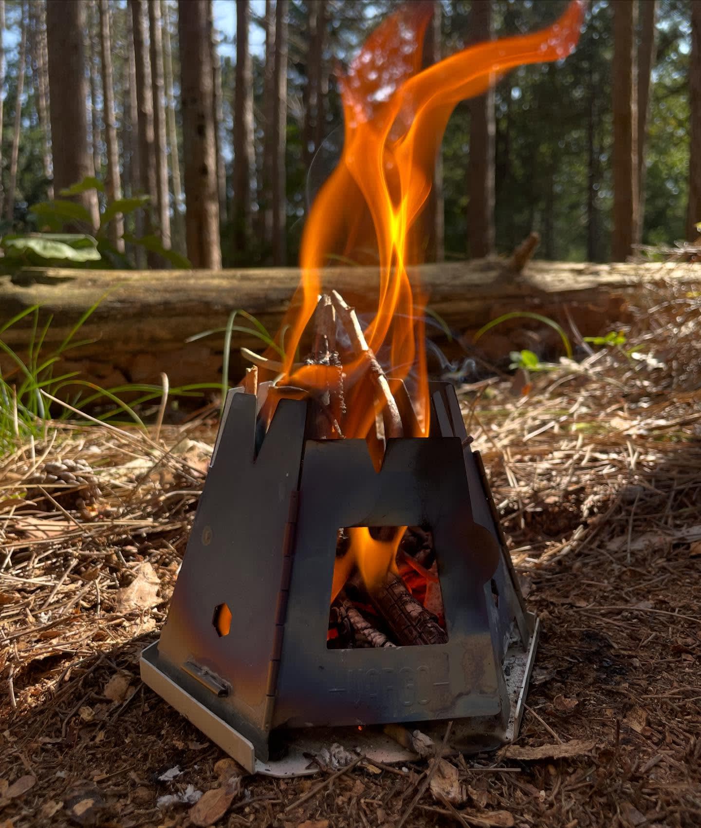 A small metal fire pit with bright orange flames burns in the foreground against a blurred background of a dense forest.