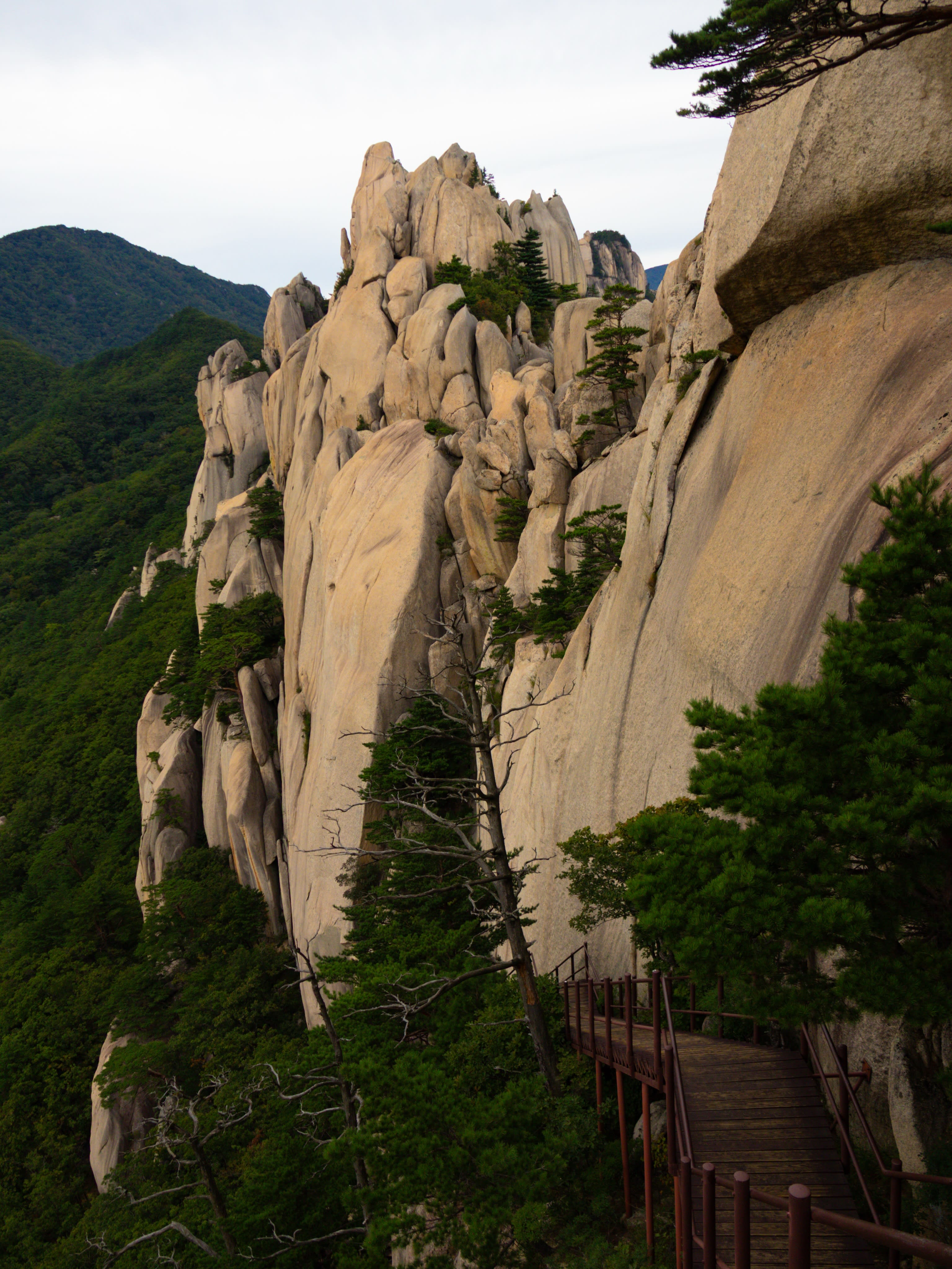A wooden walkway leads along a steep, rocky cliffside with scattered pine trees, set against a backdrop of lush green mountains under a cloudy sky.