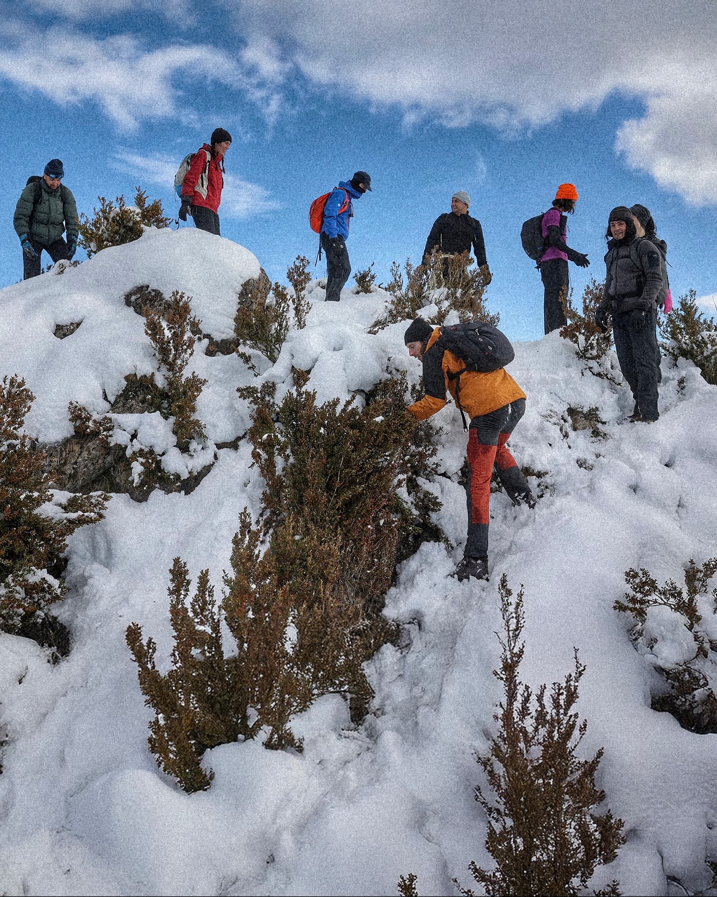 A group of hikers in colorful winter gear climb a snowy, shrub-covered slope under a bright blue sky with scattered clouds.