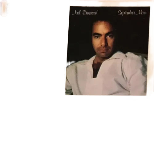 Neil Diamond - September Morn (Cassette) (VG+) - Endless Media