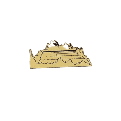 José González - Veneer (CD) (G+) - Endless Media