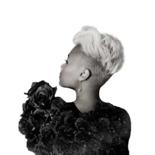 Emeli Sandé - Our Version Of Events (CD) (VG) - Endless Media