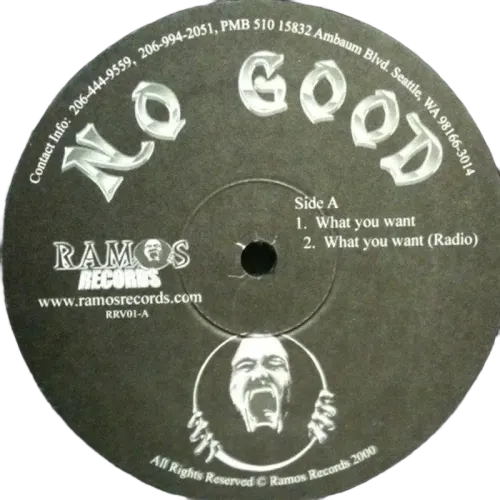 No Good Therapy - What You Want (12") (M) - Endless Media