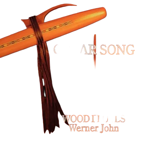 Werner John - Cedar Song (CD) (VG+) - Endless Media