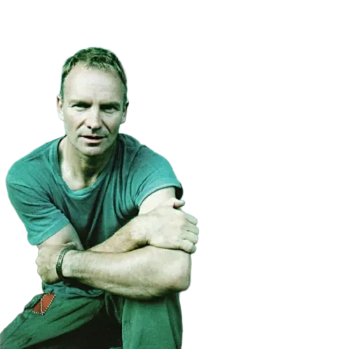 Sting - ...All This Time (CD) (VG) - Endless Media