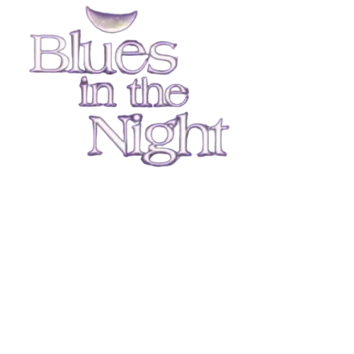 Unknown Artist - Blues In The Night (CD) (VG) - Endless Media