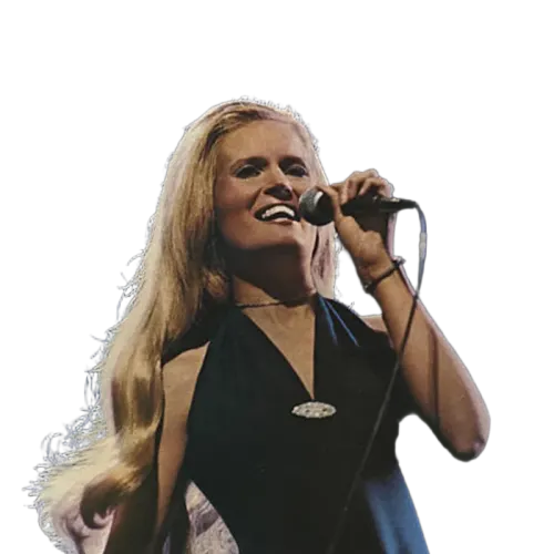 Lynn Anderson - Top Of The World (LP) (G+) - Endless Media