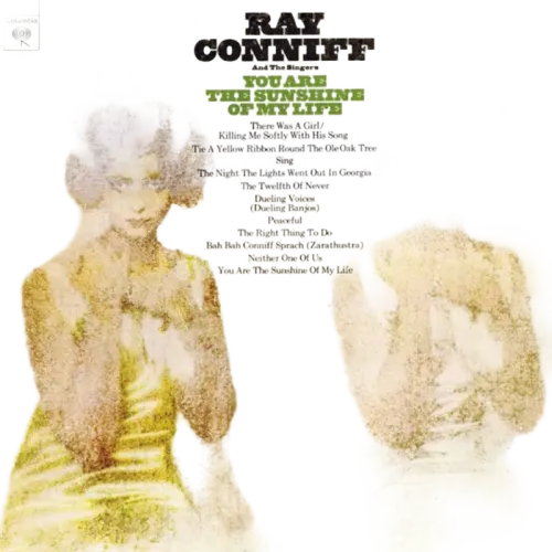 Ray Conniff And The Singers - You Are The Sunshine Of My Life (LP) (VG) - Endless Media