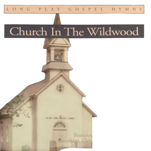 Various - Church In The Wildwood: Volume II (CD) (VG+) - Endless Media