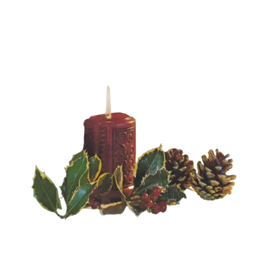 Various - That Christmas Feeling (LP) (G+) - Endless Media