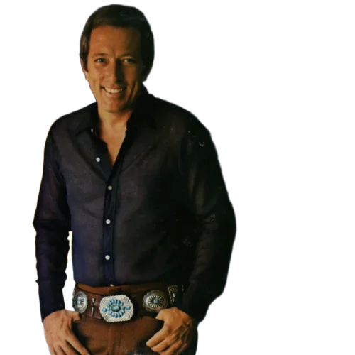 Andy Williams - Love Story (LP) (VG) - Endless Media