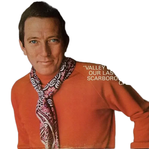 Andy Williams : Honey (LP, Album, Ter)