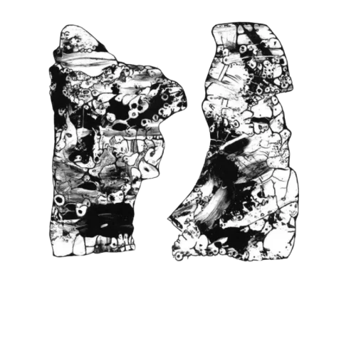 Bad Future : Bad Future (LP, Album, Whi)