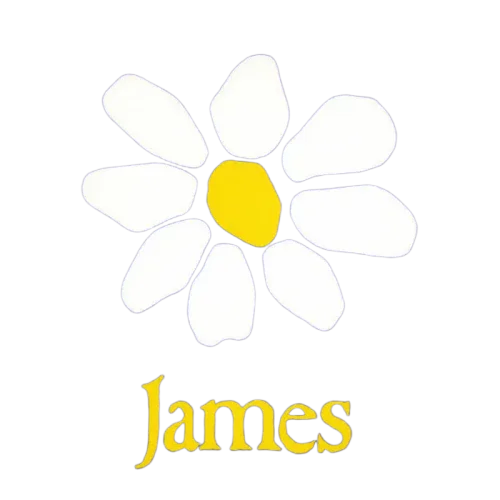 James : James (CD, Album, Comp)