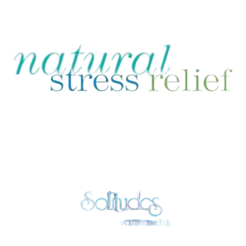 Dan Gibson : Natural Stress Relief - Solitudes Music For Your Healh (CD, Album)
