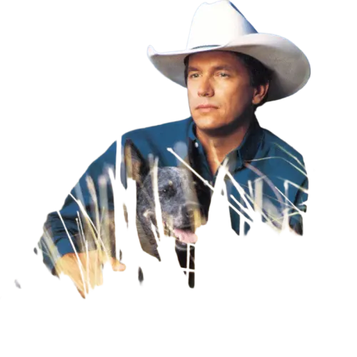 George Strait : Easy Come Easy Go (CD, Album, Club)