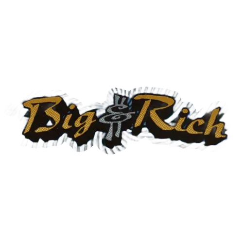 Big & Rich : Horse Of A Different Color (CD, Album)