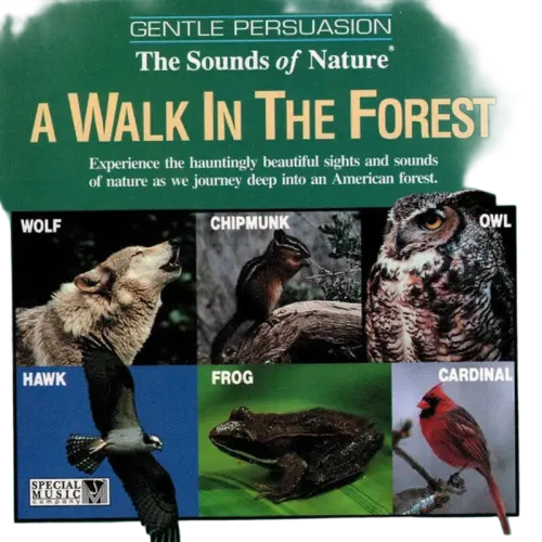 No Artist : A Walk In The Forest (CD, Club)