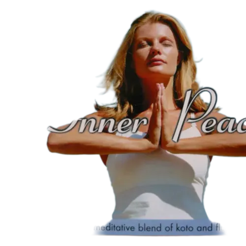 Unknown Artist : Inner Peace (CD)