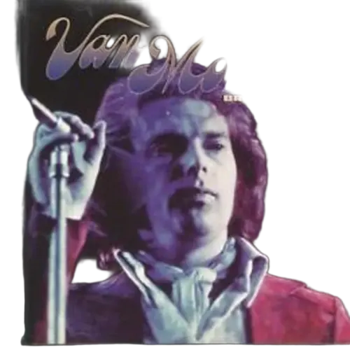 Van Morrison : Brown Eyed Girl  (CD, Comp)