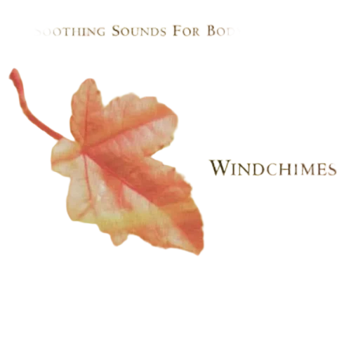 No Artist : Windchimes (CD)