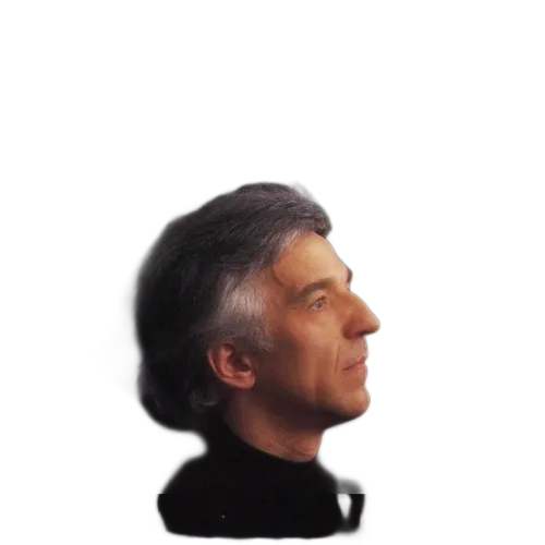 Vladimir Ashkenazy : Chopin Favourites (CD, Comp)