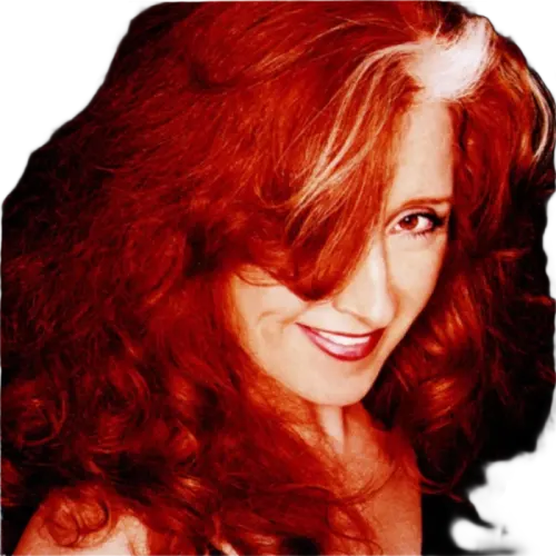 Bonnie Raitt : Silver Lining (CD, Album)