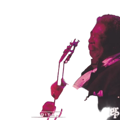 B.B. King : Live At The Apollo (CD, Album, Club)