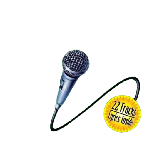 Various : Disney Karaoke Volume 3 (CD, Comp)