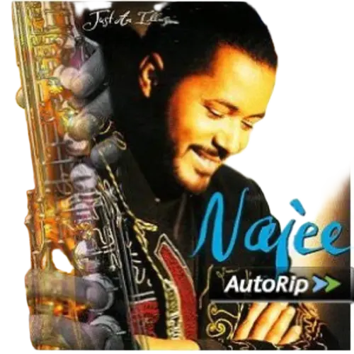 Najee : Just An Illusion (CD, Album)