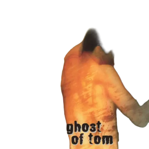 Bruce Springsteen : The Ghost Of Tom Joad (CD, Album, RE)
