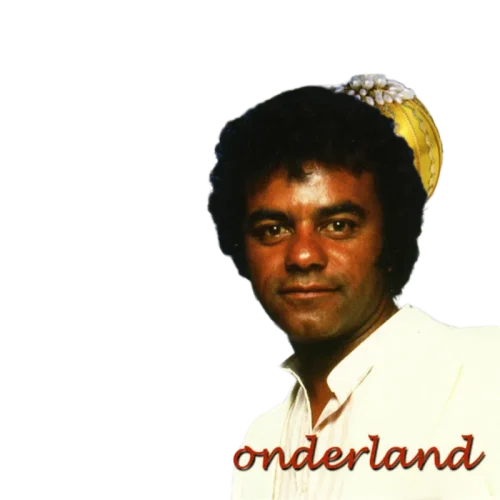 Johnny Mathis : Winter Wonderland (CD, Comp)