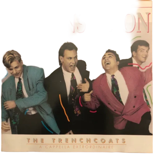 The Trenchcoats : It Turns Me On (CD, Album)
