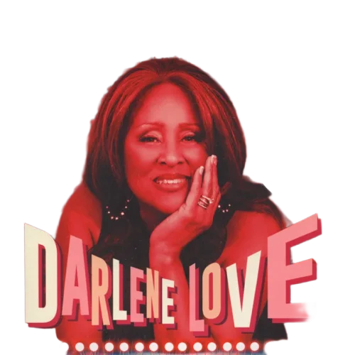 Darlene Love : Introducing Darlene Love (2xLP, Album)