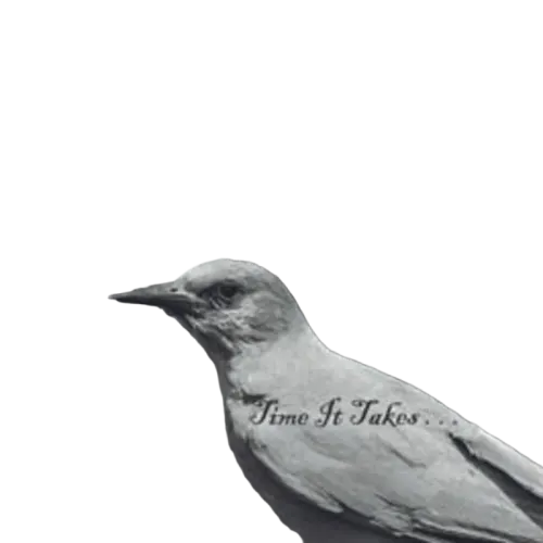 The Groovebirds : Time It Takes  (CD, Album)