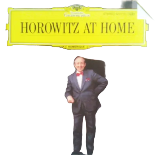 Vladimir Horowitz : Horowitz At Home (CD, Album)