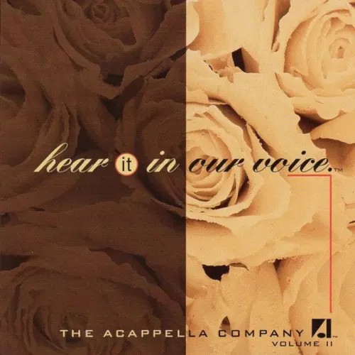 Various : Hear It In Our Voice. Volume 2 (CD, Album)