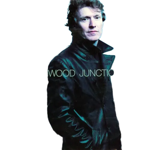 Steve Winwood : Junction Seven (HDCD, Album)