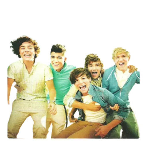 One Direction : Up All Night (CD, Album)