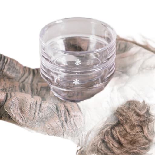 Sayou Clear Tea Cup Set by Windthrow